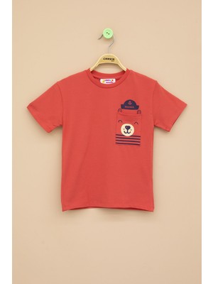 Kiremit Ayıcık Baskılı Cepli Erkek Bebek Tişört 20933