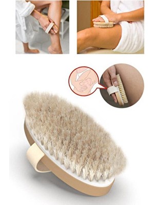 Orvila Doğal At Kılı Fırça - Selülit ve Ölü Deri Temizleyici Canlandırıcı Etkili Vücut Bakım Ürünü