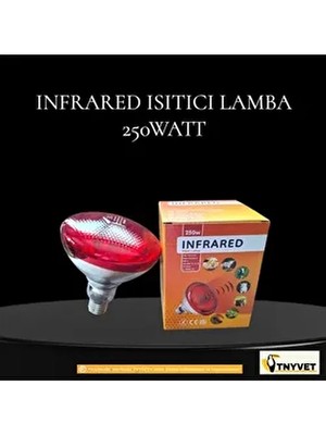 İnfrared Isıtıcı Ampul Lamba Kırmızı 250 Watt E-27 Filament Ampul Cool White Işık Rengi 2 Adet