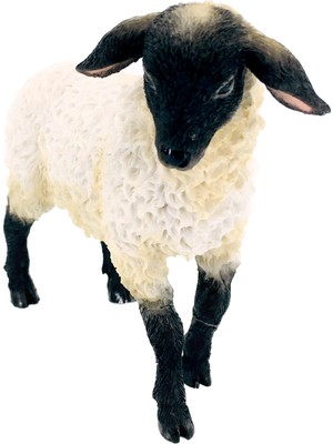 Mini Boy Kuzu Dekoratif Küçük Biblo | Çiftlik Dekorasyon | Kasap Dekorasyon | Restoran Dekorasyon