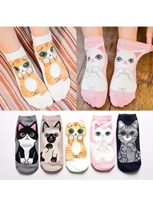 5'li Sevimli Kedi Desenli Patik Çorap