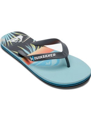 Quiksilver MOLOKAI ART YOUTH