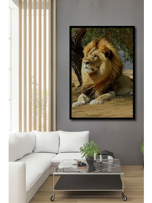 Çerçeve Görünümlü Aslanın Görkemli Bakışı Yağlı Boya Görünümlü Dekoratif Ahşap Ofis Kare Tablo