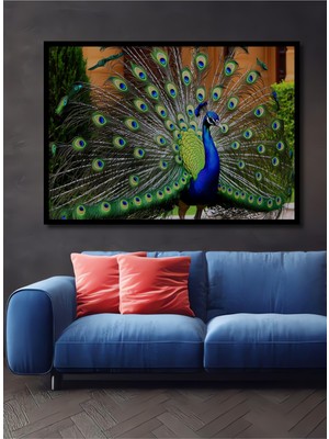 Çerçeve Görünümlü Muhteşem Tavus Kuşu Yağlı Boya Görünümlü Dekoratif Ahşap Işyeri/ofis Kare Tablo