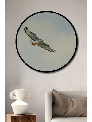 Çerçeve Görünümlü Gökyüzünde Süzülen Şahin Yağlı Boya Görünümlü Dekoratif Ahşap Ofis Yuvarlak Tablo