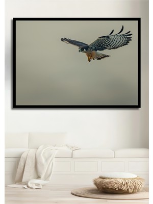 Çerçeve Görünümlü Süzülen Şahin Yağlı Boya Görünümlü Dekoratif Ahşap Ev/işyeri/ofis Kare Tablo