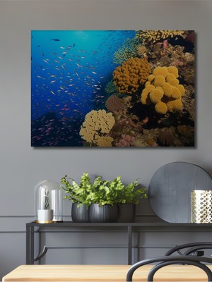 Deniz Altı Mercan Resifi Balık Sürüsü Manzarası Dekoratif Ahşap Ev/işyeri/ofis Kare Tablo