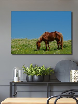 Çiçek Bahçesinde Otlayan At Yağlı Boya Görünümlü Dekoratif Ahşap Ev/işyeri/ofis Kare Tablo