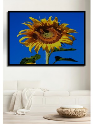 Çerçeve Görünümlü Güneşte Açan Ayçiçeği Yağlı Boya Görünümlü Dekoratif Ahşap Işyeri/ofis Kare Tablo