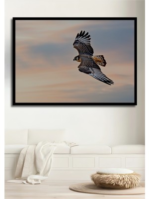 Çerçeve Görünümlü Gökyüzünde Süzülen Şahin Yağlı Boya Görünümlü Dekoratif Ahşap Ofis Kare Tablo