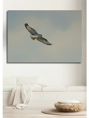 Gökyüzünde Süzülen Şahin Yağlı Boya Görünümlü Dekoratif Ahşap Ev/işyeri/ofis Kare Tablo