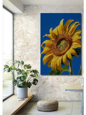 Gökyüzü Mavi Arka Planlı Yağlı Boya Görünümlü Ayçiçeği Dekoratif Ahşap Ev/işyeri/ofis Kare Tablo