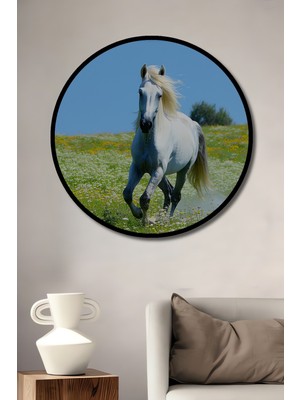 Çerçeve Görünümlü Beyaz At Çiçek Bahçesi Yağlı Boya Görünümlü Dekoratif Ahşap Ofis Yuvarlak Tablo