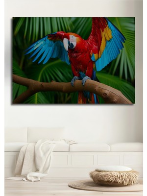Tropikal Cennet Papağanı Yağlı Boya Görünümlü Dekoratif Ahşap Ev/işyeri/ofis Kare Tablo