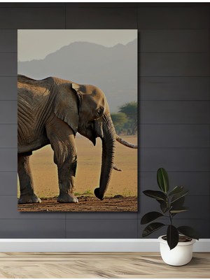 Sulu Boya Görünümlü Savan Fil Heybeti Ev/işyeri/ofis/salon Ahşap Dekoratif Kare Tablo