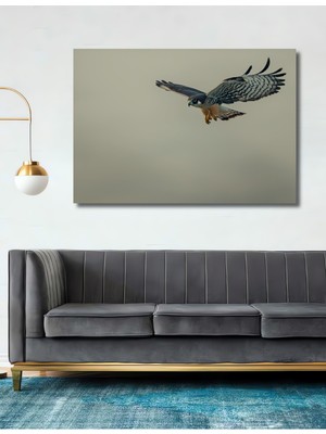 Süzülen Şahin Yağlı Boya Görünümlü Dekoratif Ahşap Ev/işyeri/ofis Kare Tablo