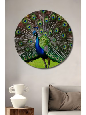 Muhteşem Tavus Kuşu Tüyü Yağlı Boya Görünümlü Dekoratif Ahşap Ev/işyeri/ofis Yuvarlak Tablo