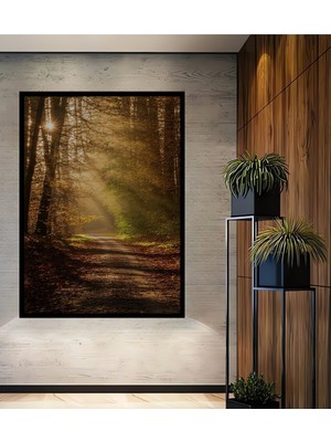 Çerçeve Görünümlü Güneş Işınlı Sonbahar Ormanı Yağlı Boya Görünümlü Dekoratif Ahşap Ofis Kare Tablo