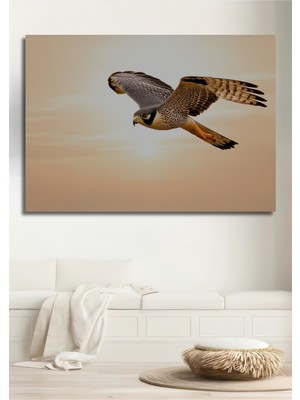 Yağlı Boya Görünümlü Gökyüzünde Süzülen Şahin Dekoratif Ahşap Ev/işyeri/ofis Kare Tablo