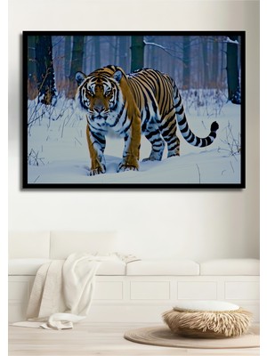 Çerçeve Görünümlü Karlı Ormanda Heybetli Sibirya Kaplanı Yağlı Boya Görünümlü Ofis Ahşap Tablo