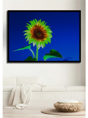 Çerçeve Görünümlü Neon Işıltılı Ayçiçeği Modern Sanat Dekoratif Ahşap Ev/işyeri/ofis Kare Tablo