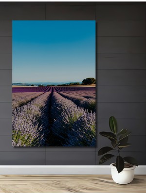 Sonsuz Lavanta Tarlası Rüyası Dekoratif Ahşap Ev/işyeri/ofis Kare Tablo