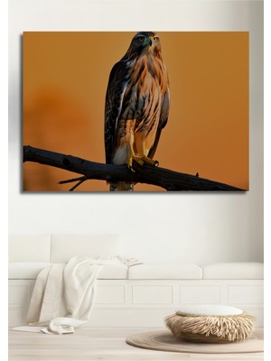 Gün Batımında Şahin Yağlı Boya Görünümlü Dekoratif Ahşap Ev/işyeri/ofis Kare Tablo