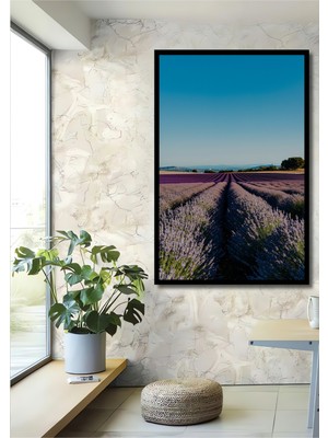 Çerçeve Görünümlü Sonsuz Lavanta Tarlası Rüyası Dekoratif Ahşap Ev/işyeri/ofis Kare Tablo