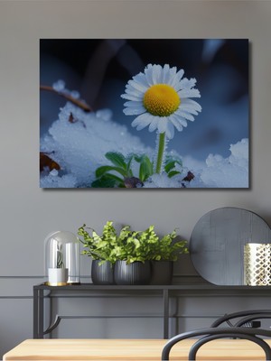 Buzlu Papatya Rüyası Dekoratif Ahşap Ev/işyeri/ofis Kare Tablo