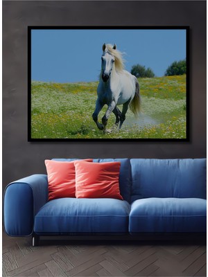 Çerçeve Görünümlü Beyaz At Çiçek Bahçesi Yağlı Boya Görünümlü Dekoratif Ahşap Ofis Kare Tablo