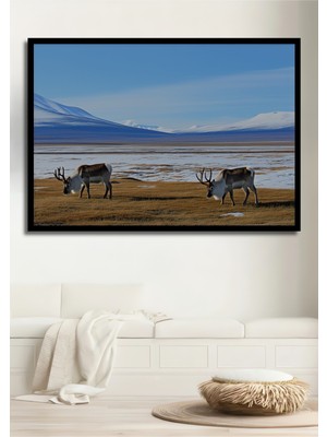 Çerçeve Görünümlü Kutup Ren Geyiği Manzarası Yağlı Boya Görünümlü Dekoratif Ahşap Ofis Kare Tablo