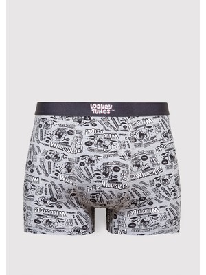 Mavi Tazmanya Canavarı Baskılı Gri Boxer 0911983-24386