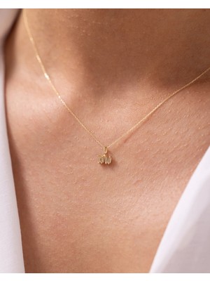 Zarif Kraliçe Tacı 14 Ayar Altın Kolye