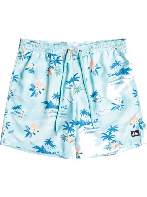 Quiksilver EVERYDAY SCENIC VOLLEY 15