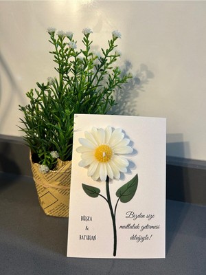 18 Adet Süslemeli Papatya , Nikah Şekeri, Doğum, Sünnet, Düğün Nişan Söz, Kına, Doğum Günü .