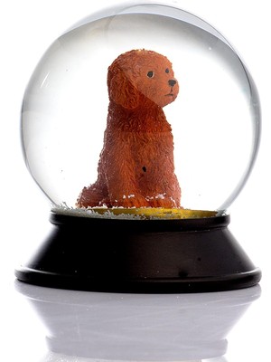 Cam ve Reçine Altın Patiler Köpek Toy Poodle (Tarçın) Kar Küresi Hediye