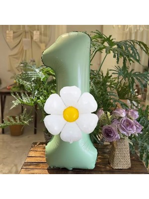 2li Adaçayı Yaşili Papatya Folyolu Yaş Balon Set