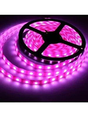 LED Şerit Iç Mekan Pembe Renk 5 mt Rulo