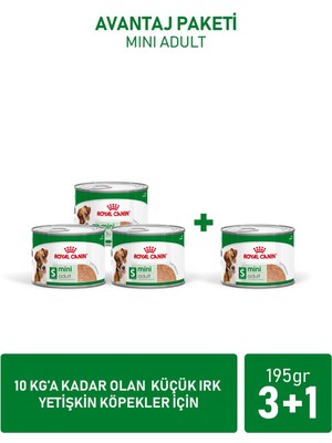 Royal Canin Mini Adult Küçük Irklar için Yaş Konserve Köpek Maması 3 + 1 Hediye 195 Gr