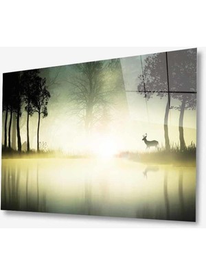 Doğa Cam Tablo 4mm Dayanıklı Temperli Cam