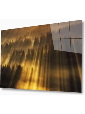 Doğa Cam Tablo 4mm Dayanıklı Temperli Cam