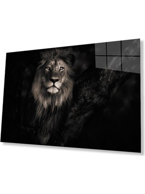 Aslan Cam Tablo 4mm Dayanıklı Temperli Cam