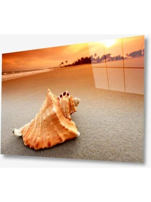 Doğa Cam Tablo 4mm Dayanıklı Temperli Cam