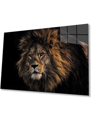 Aslan Cam Tablo