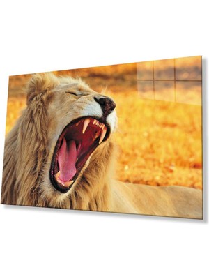 Aslan Cam Tablo 4mm Dayanıklı Temperli Cam