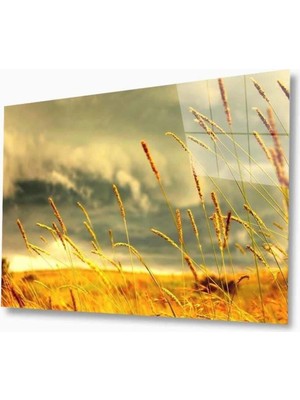 Doğa Cam Tablo 4mm Dayanıklı Temperli Cam