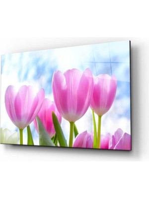 Doğa Lale Çiçekler Cam Tablo 4mm Dayanıklı Temperli Cam