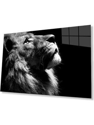 Aslan Cam Tablo 4mm Dayanıklı Temperli Cam