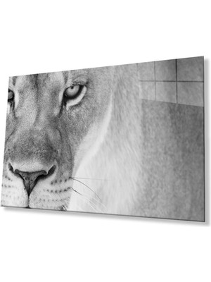 Aslan Cam Tablo 4mm Dayanıklı Temperli Cam