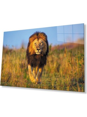 Aslan Cam Tablo 4mm Dayanıklı Temperli Cam